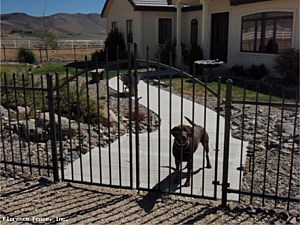 Iron Spear Top Arched Double Drive Gate System