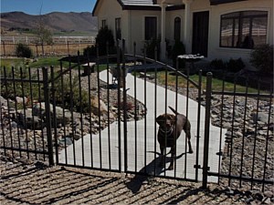 Iron Spear Top Fence with Arched Double Drive Gate