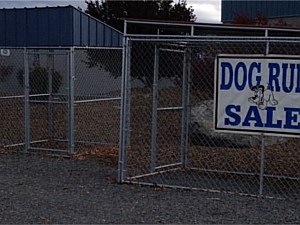 Dog Kennels