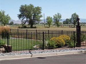 Iron Modern Fence 3